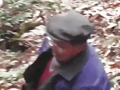 Ormanda serisi - vahşi orman